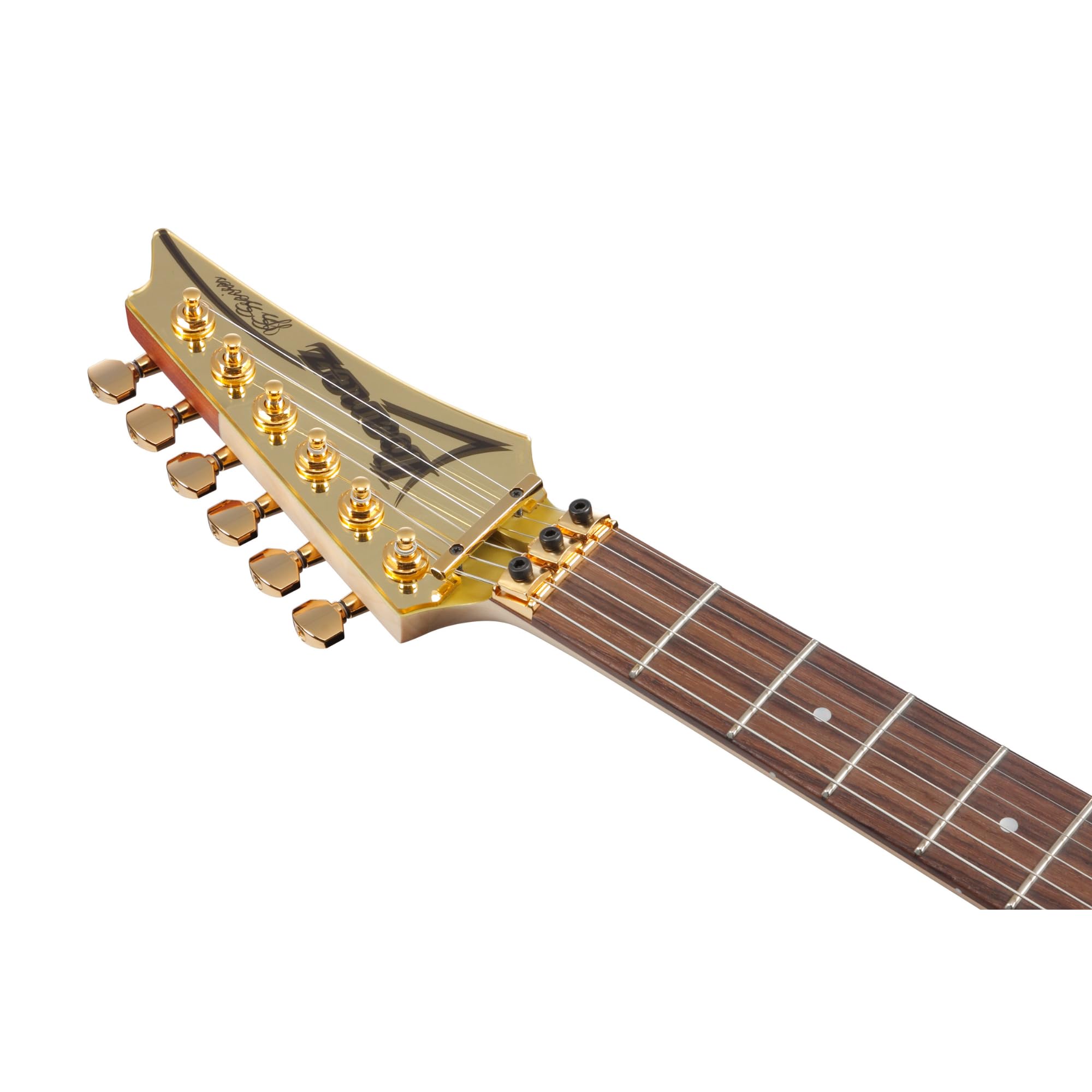 Amazon.com: Ibanez JS1GD Joe Satriani Signature Gold Boy Electric